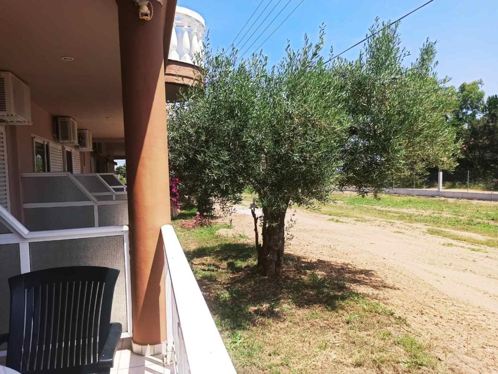 House Michalis Aparthotel Sarti Exteriör bild
